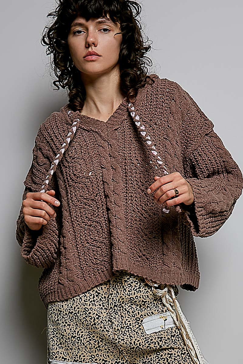 Soft Spot V-Neck Hooded Chenille Sweater