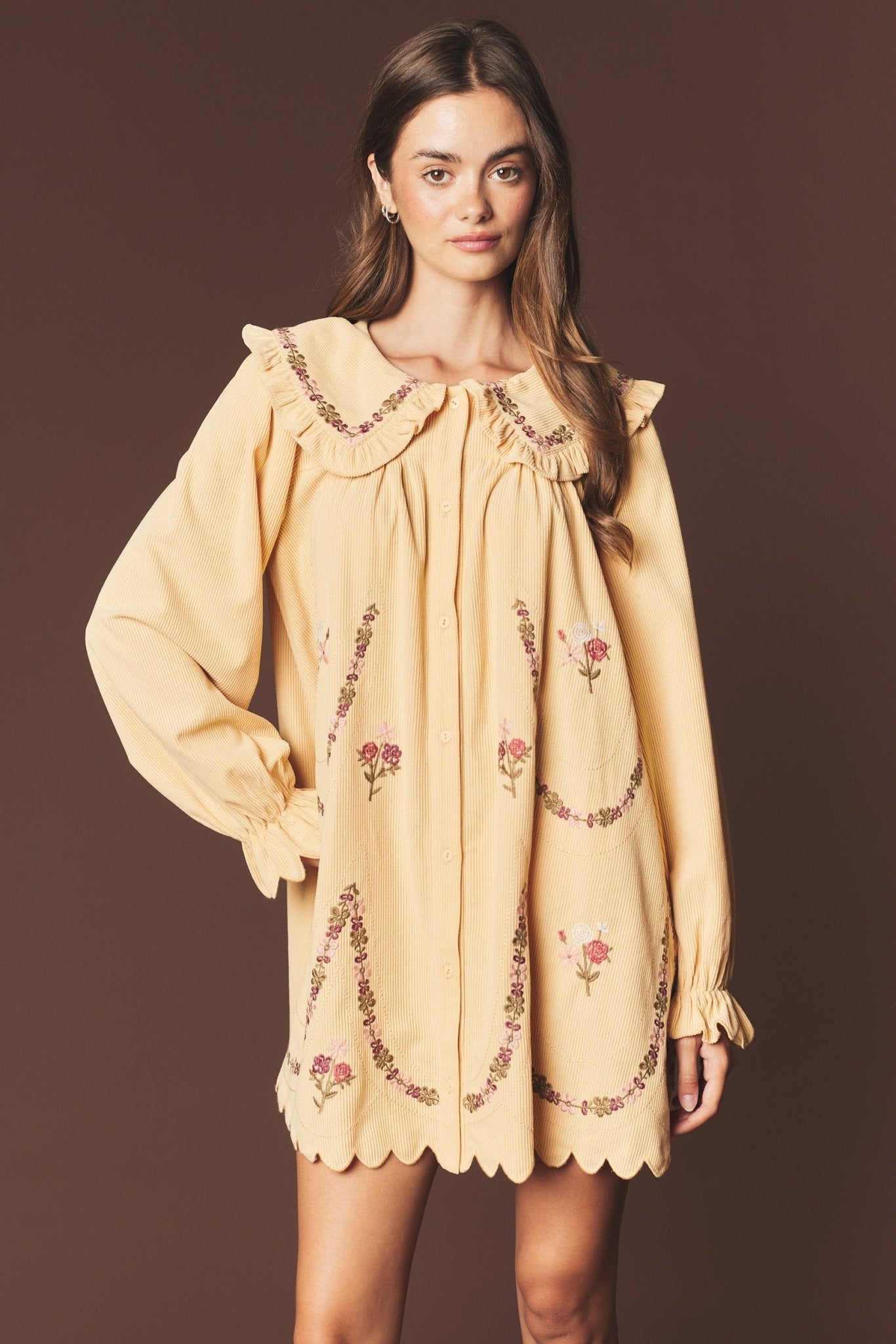 Adeline Embroidered Collar Mini Dress - Westly