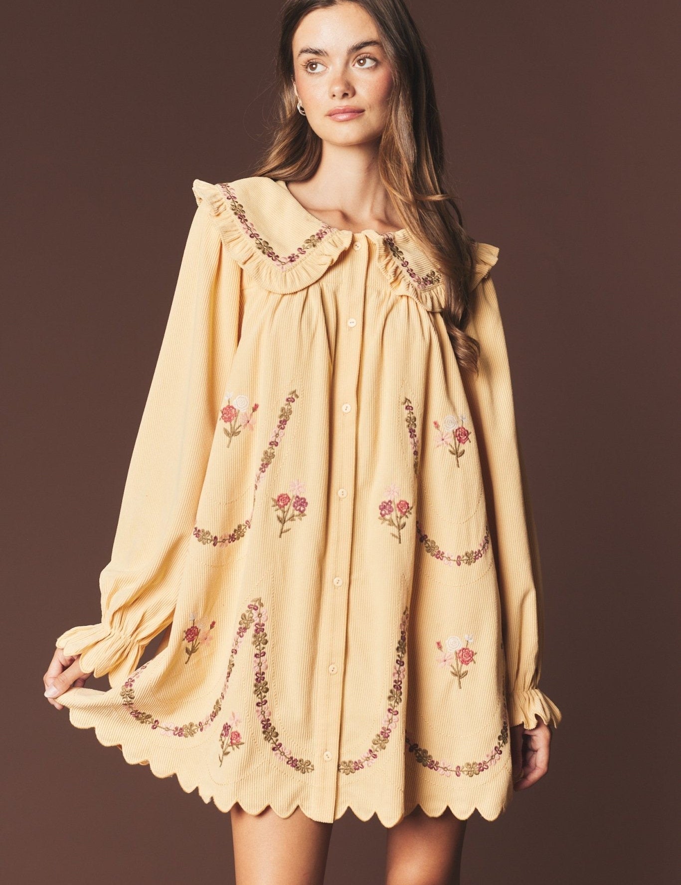 Adeline Embroidered Collar Mini Dress - Westly