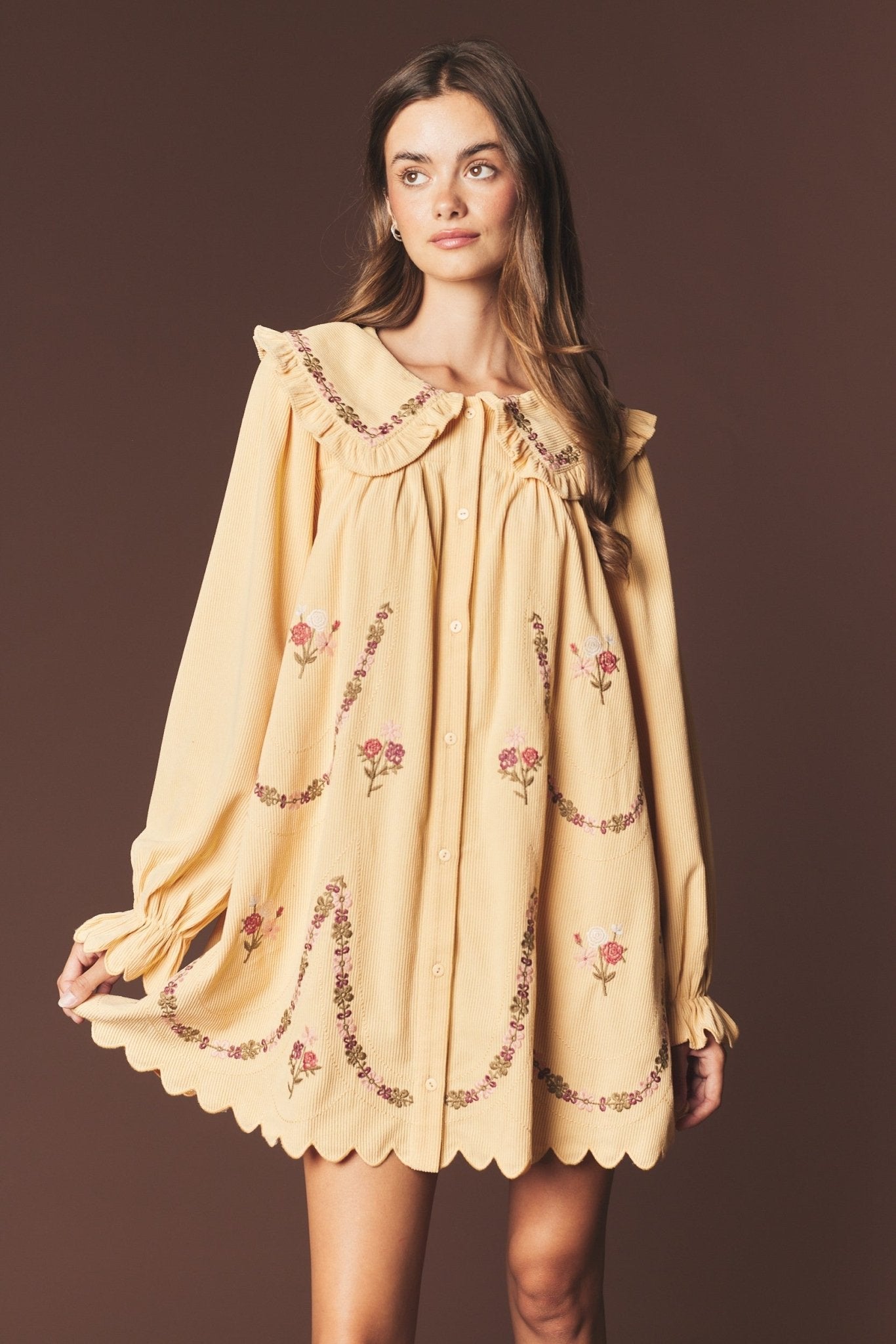 Adeline Embroidered Collar Mini Dress - Westly