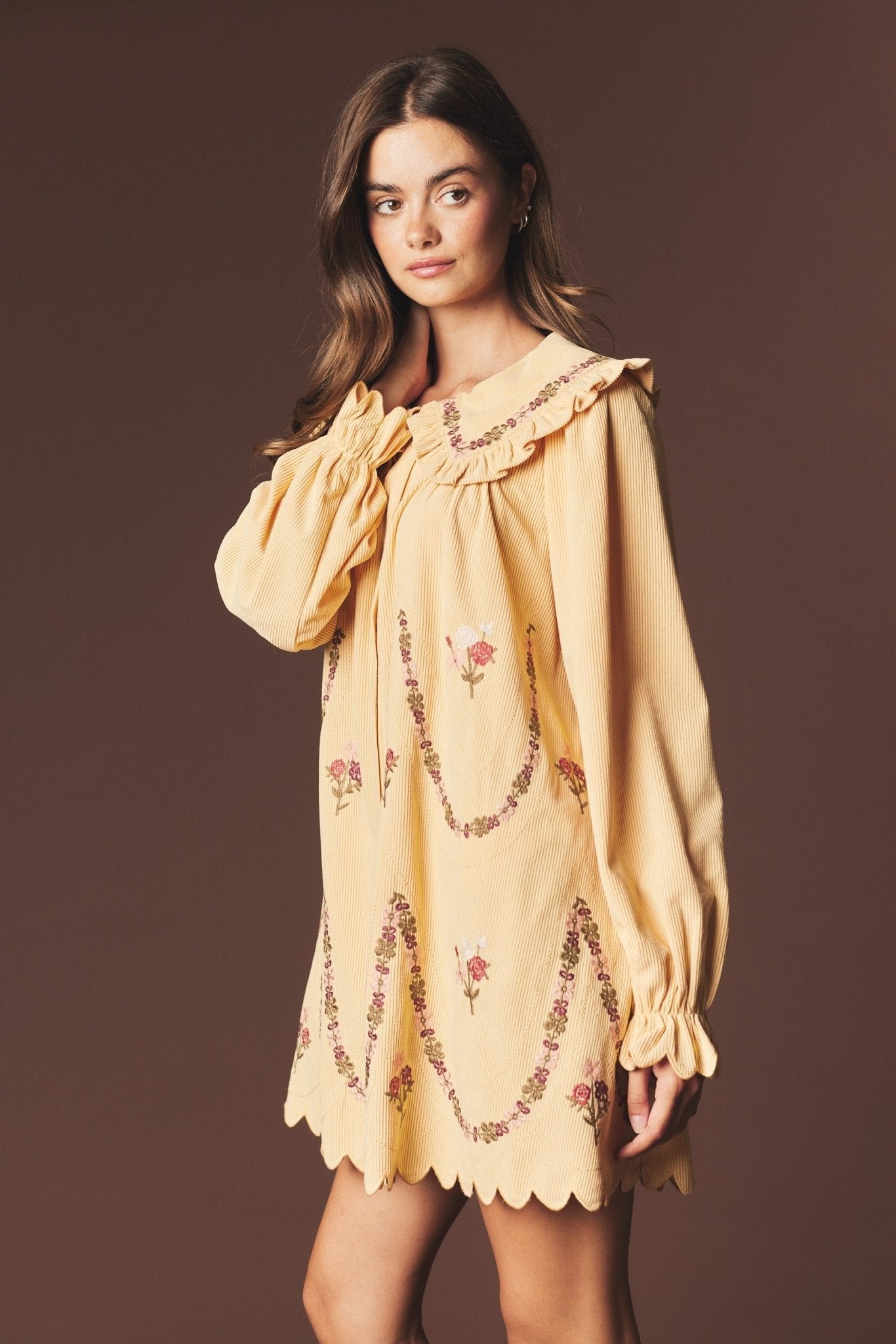Adeline Embroidered Collar Mini Dress - Westly