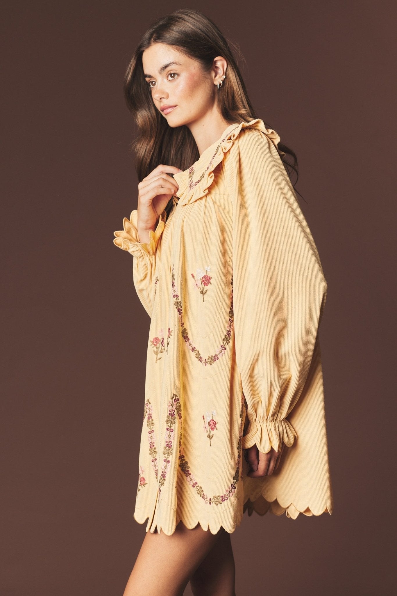 Adeline Embroidered Collar Mini Dress - Westly