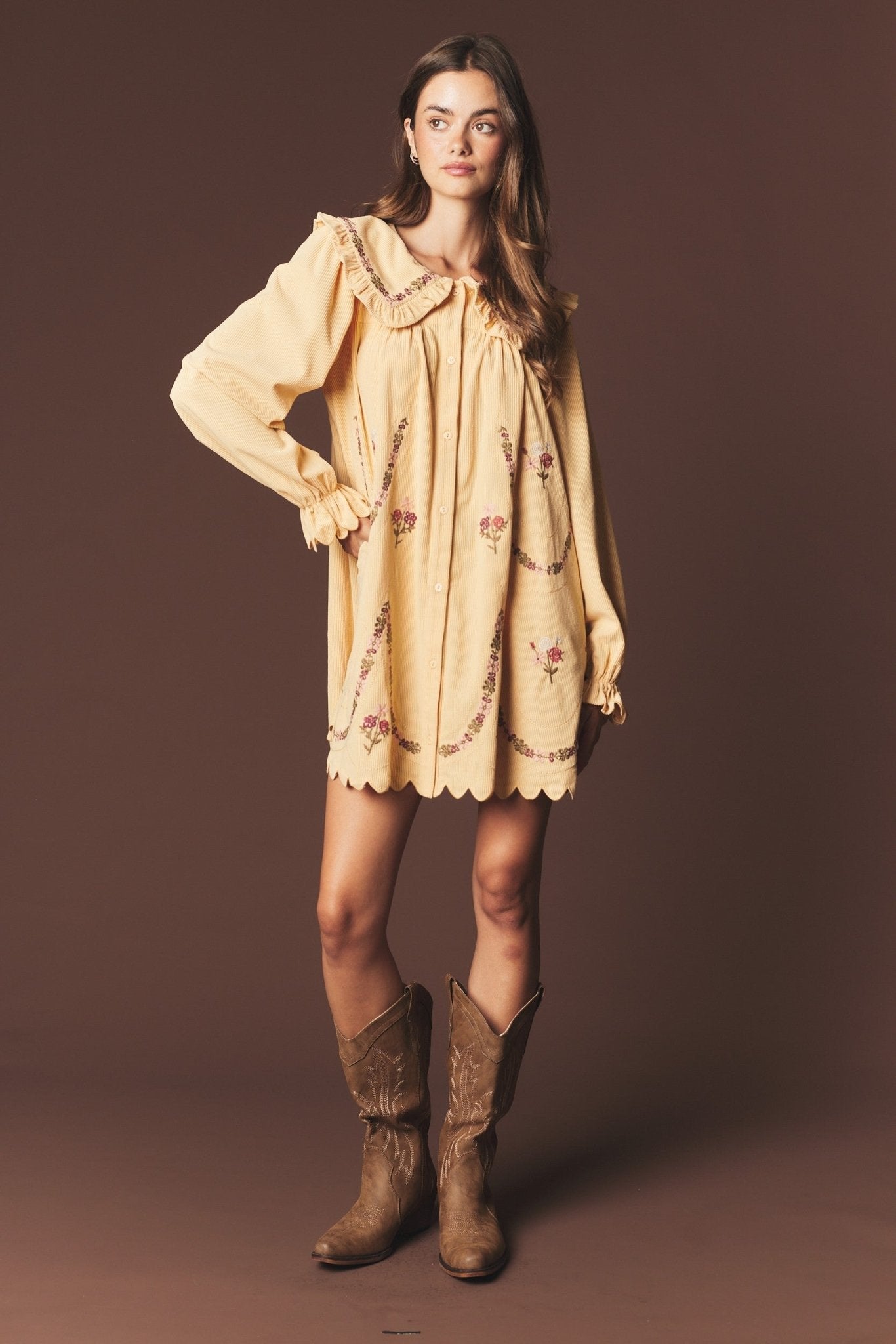 Adeline Embroidered Collar Mini Dress - Westly