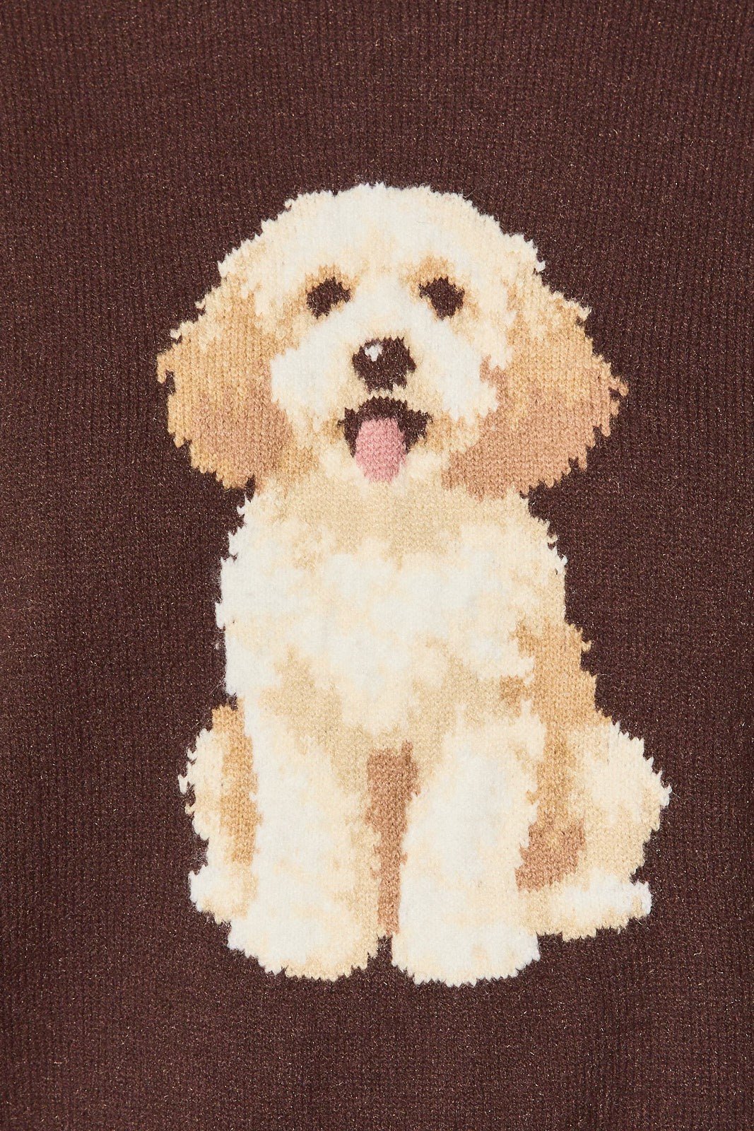 Archie Cockapoo Knit Sweater - Westly