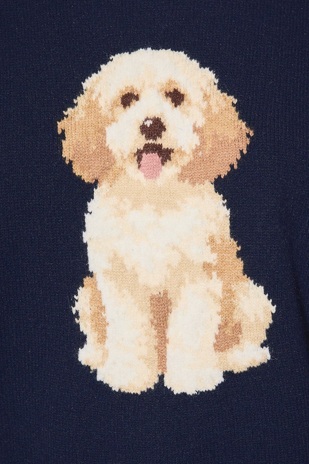 Archie Cockapoo Knit Sweater - Westly