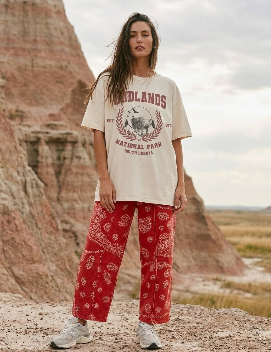 Badlands National Park Oversized Graphic Tee - Westly