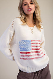 Charlie American Flag Sweater - Westly
