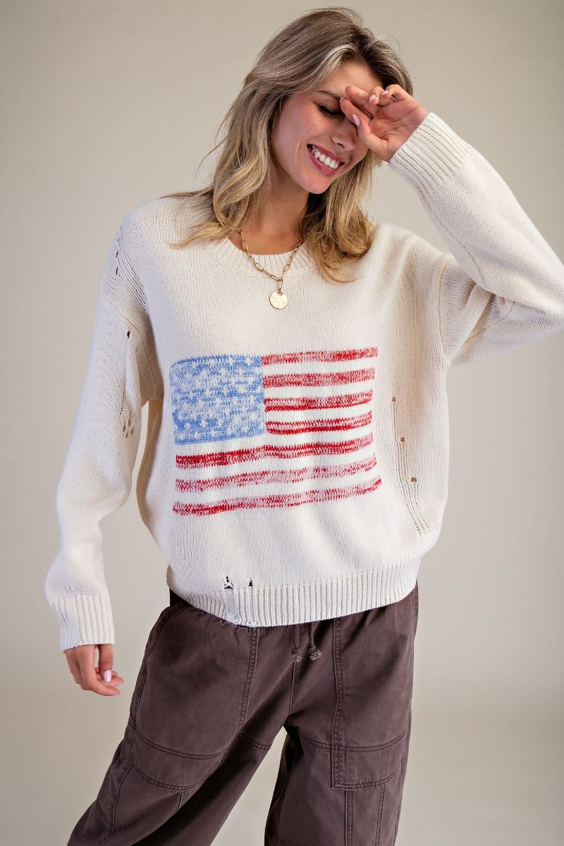 Charlie American Flag Sweater - Westly