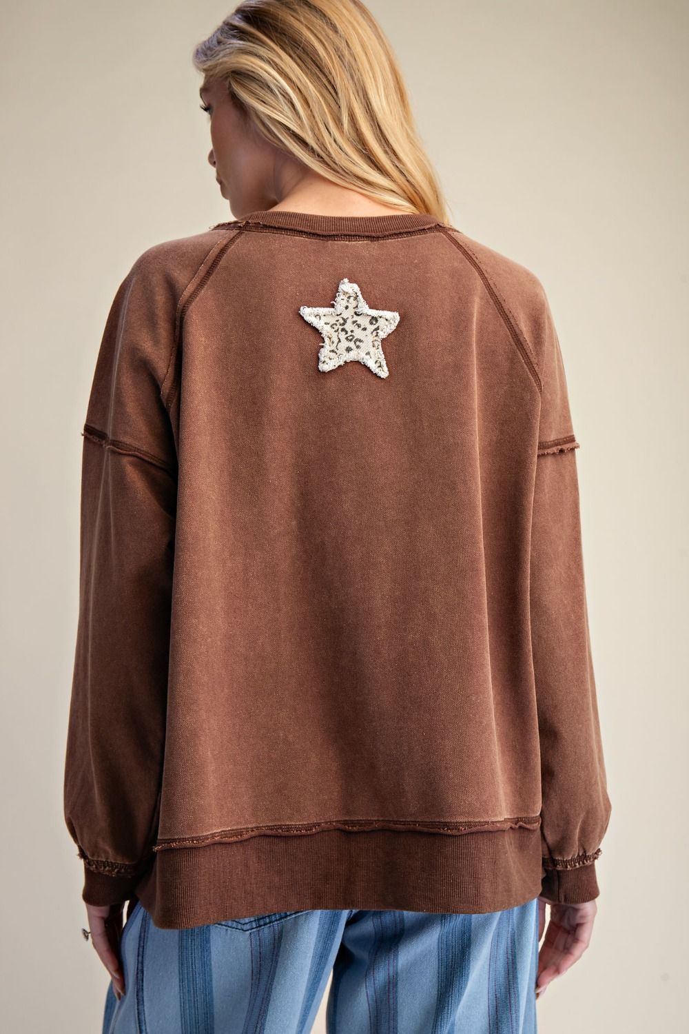 Desert Star Washed Terry Pullover - Westly