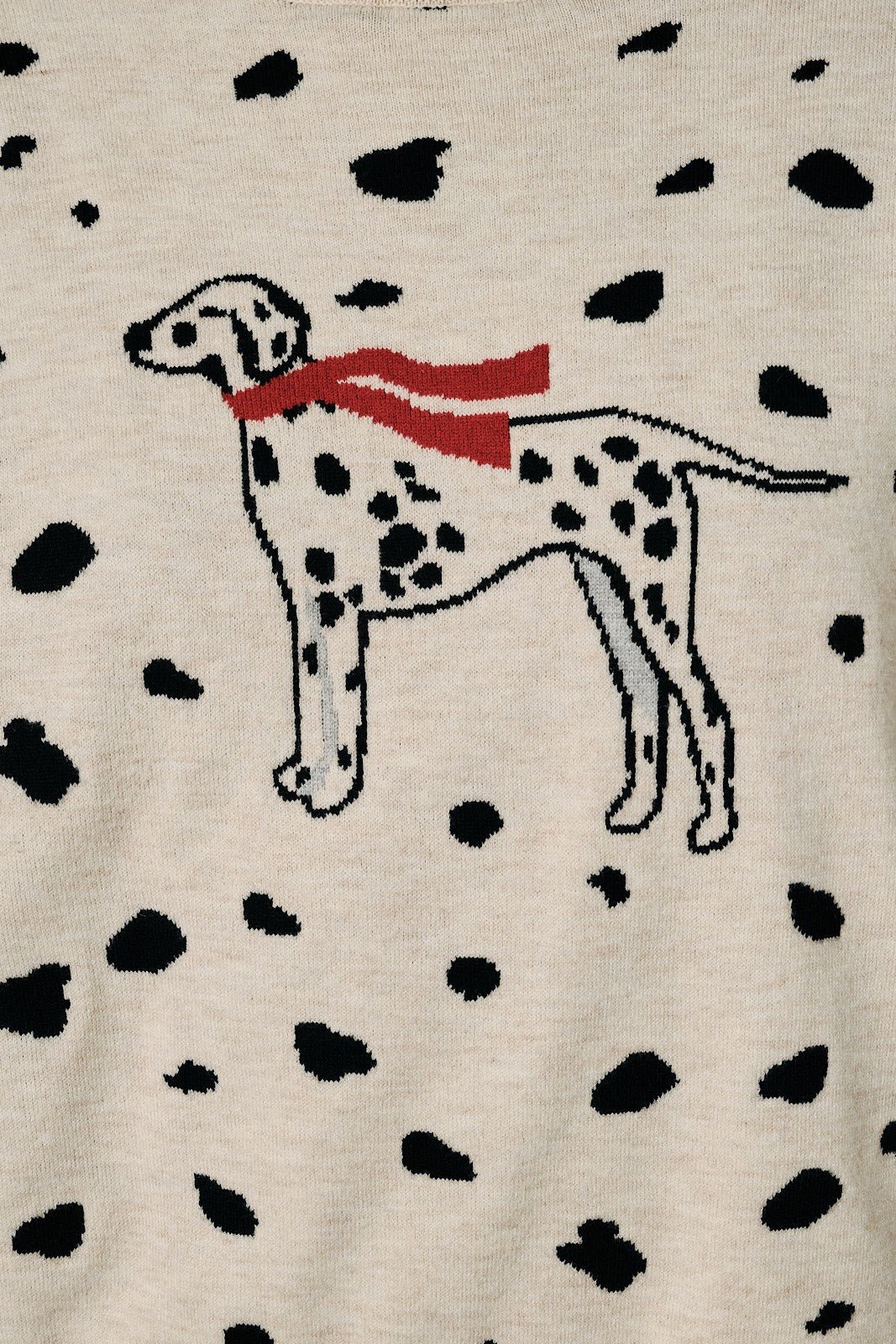 Domino Dalmatian Mock Neck Sweater - Westly