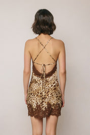 Felina Leopard Lace Mini Dress - Westly
