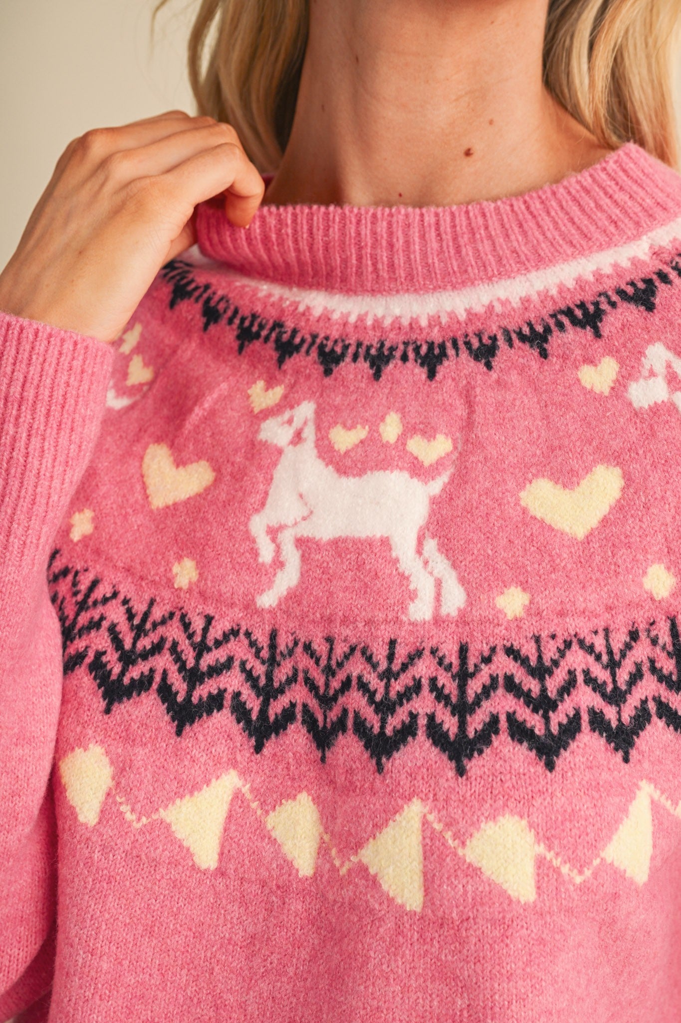 Fetch Club Dog Motif Fair Isle Sweater in Pink Multi, photo 9