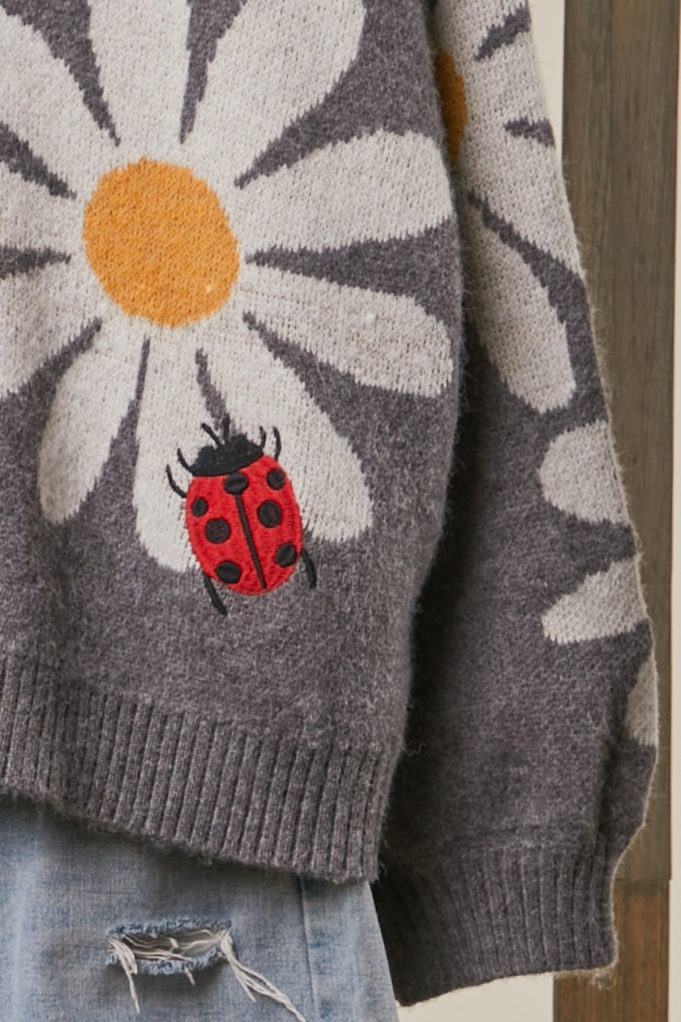 Good Fortune Ladybug Cardigan - Westly