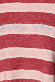 Holiday Mood Embroidered Stripe Sweater in Red Blush Stripe — product photo 04