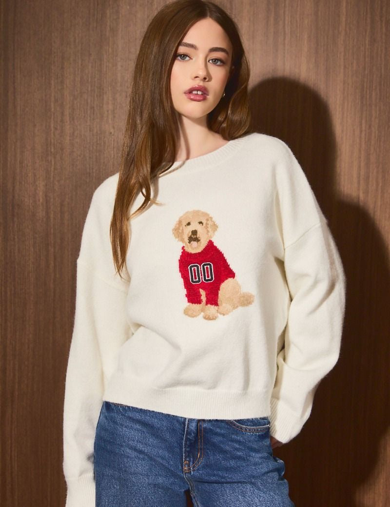Home Team Game Day Dog Sweater in White Crimson - product photo 1