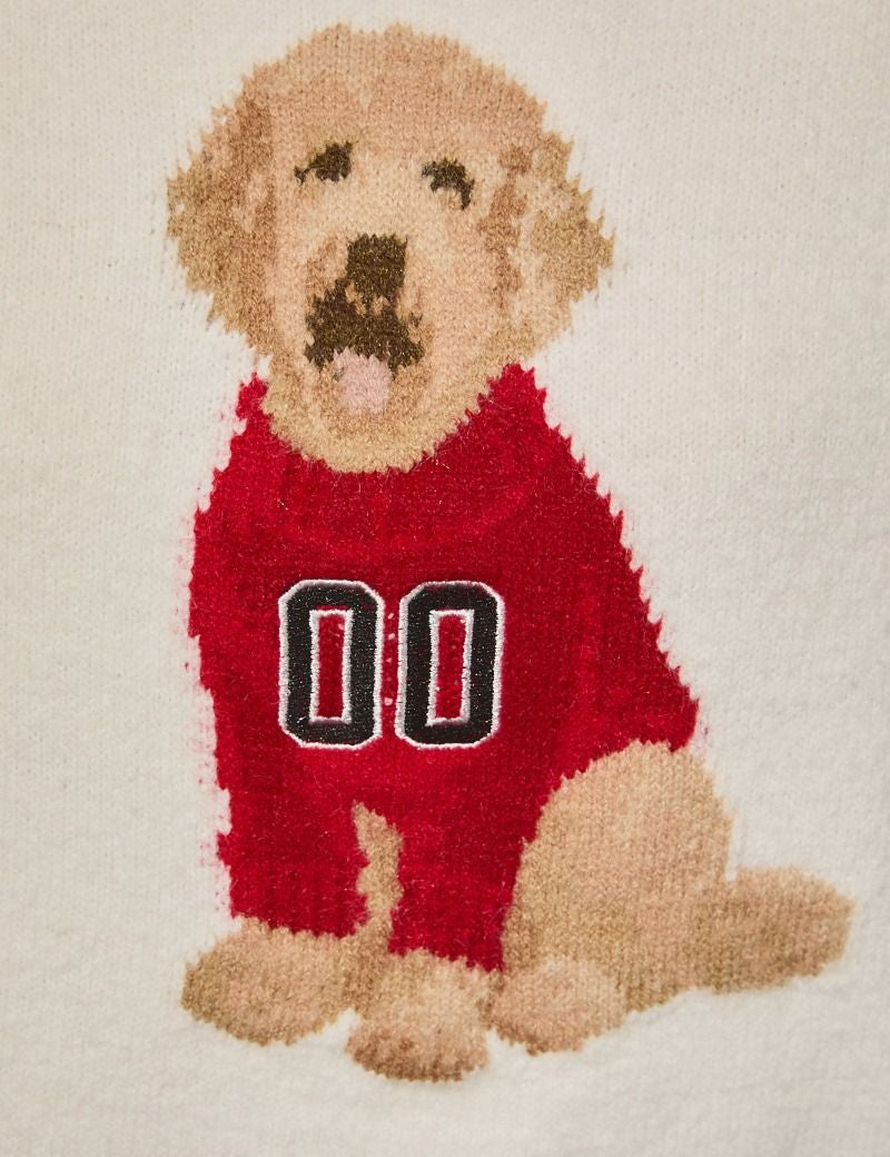 Home Team Game Day Dog Sweater in White Crimson - product photo 3