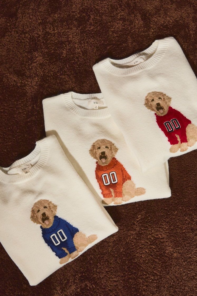 Home Team Game Day Dog Sweater in White Crimson - product photo 4