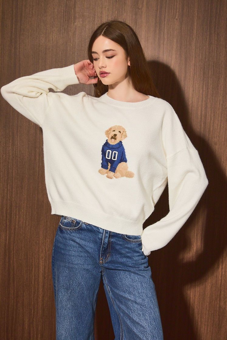 Home Team Game Day Dog Sweater in White Navy - product photo 5