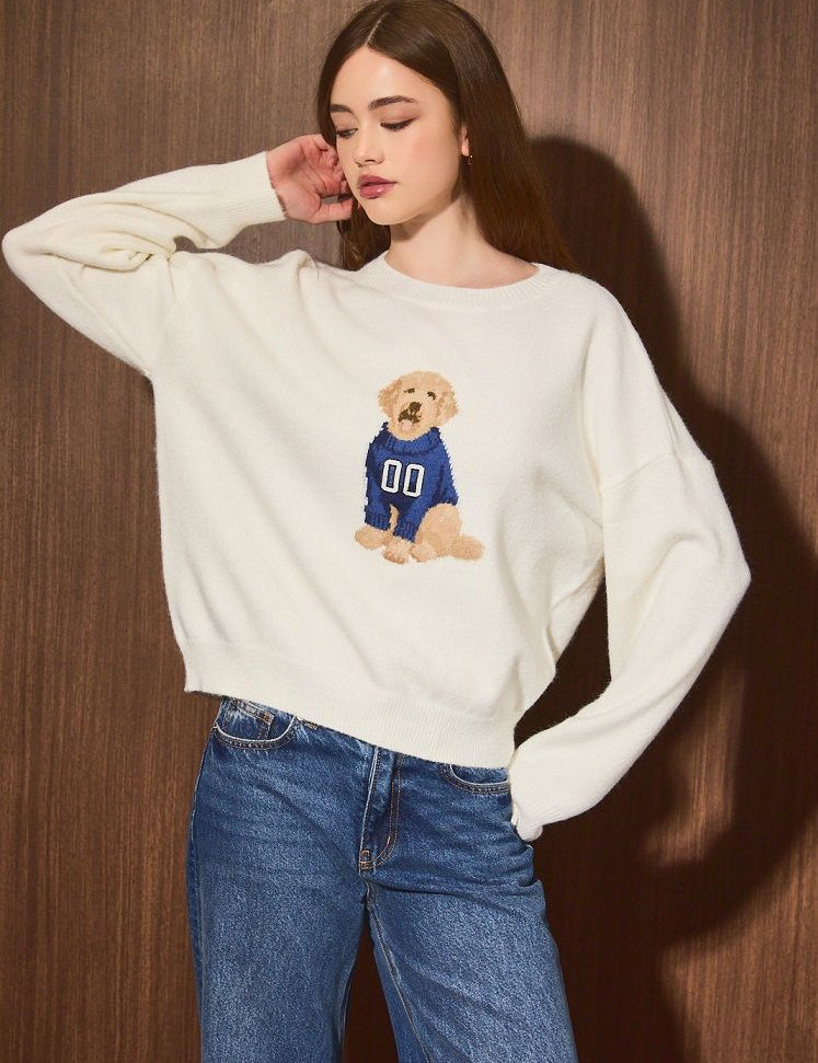 Home Team Game Day Dog Sweater in White Navy - product photo 5