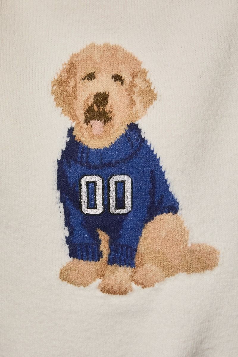 Home Team Game Day Dog Sweater in White Navy - product photo 7