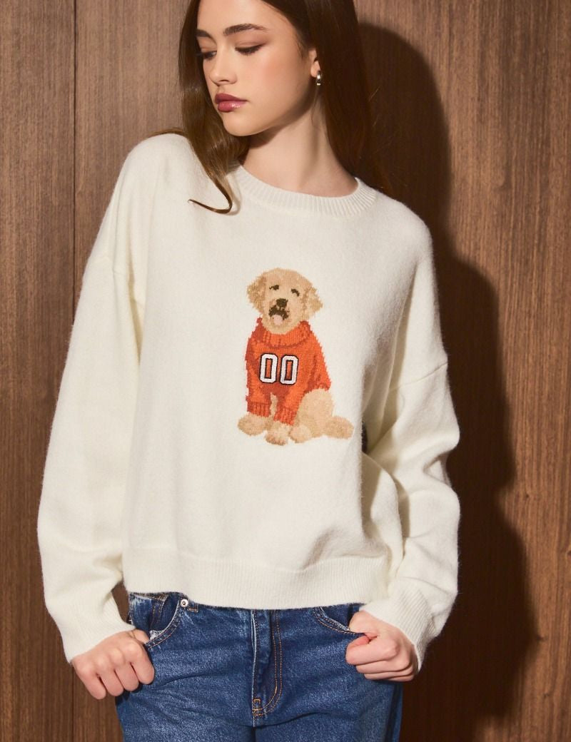 Home Team Game Day Dog Sweater in White Orange - product photo 8