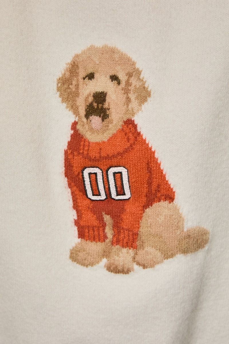 Home Team Game Day Dog Sweater in White Orange - product photo 11