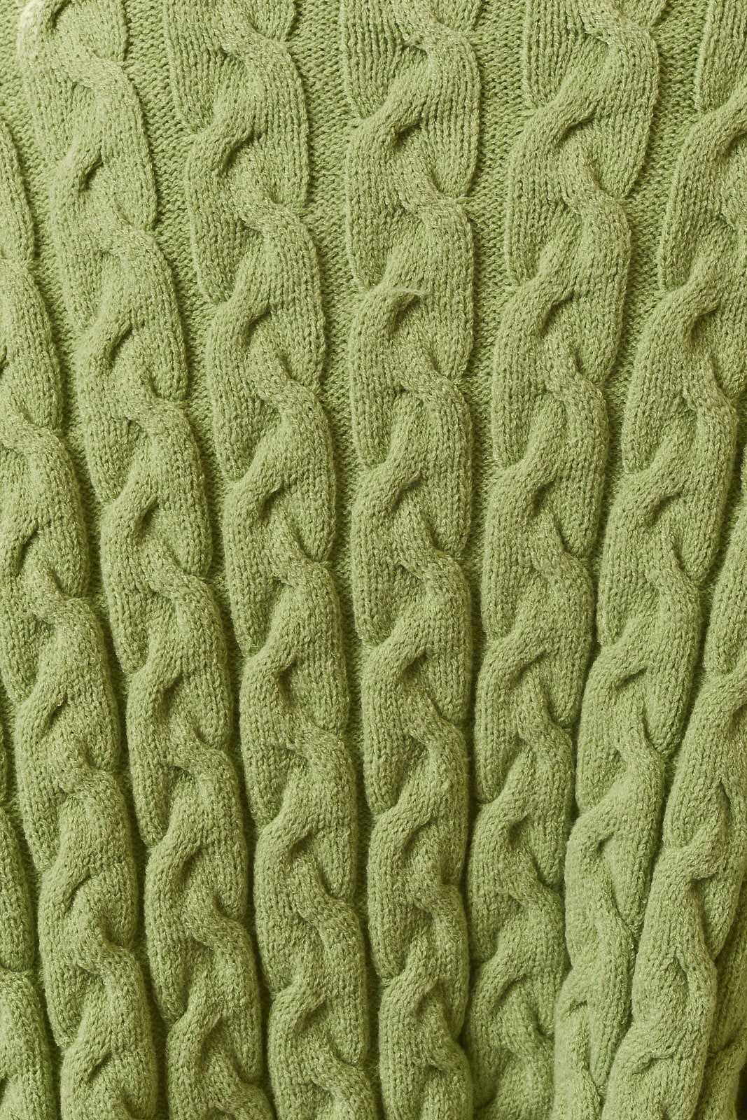 Isolde Cable Knit Cardigan - Light Green