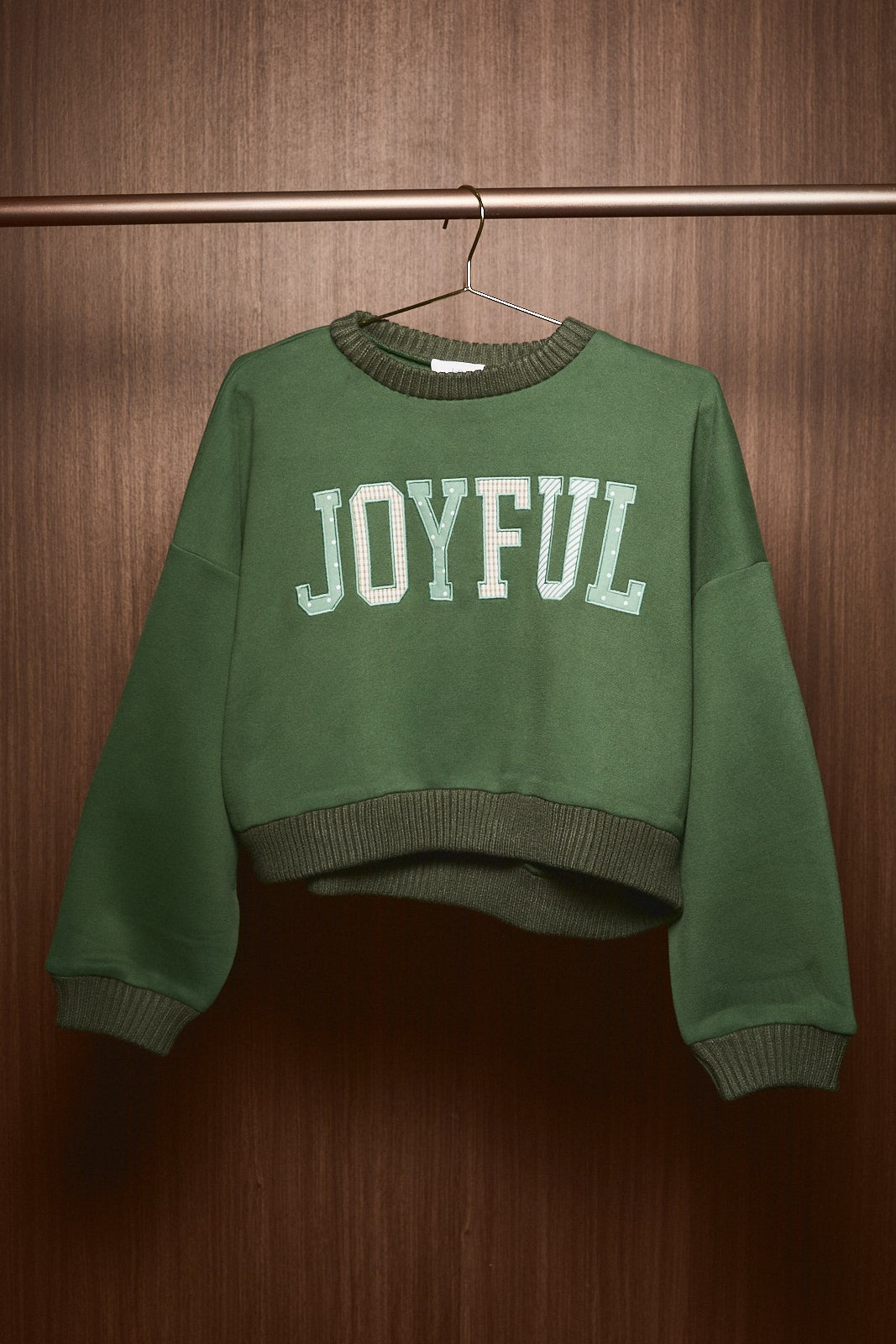 Joy Ride Embellished Cropped Sweatshirt in Green — product photo 05
