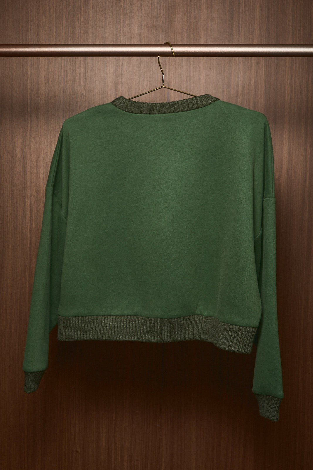 Joy Ride Embellished Cropped Sweatshirt in Green — product photo 06