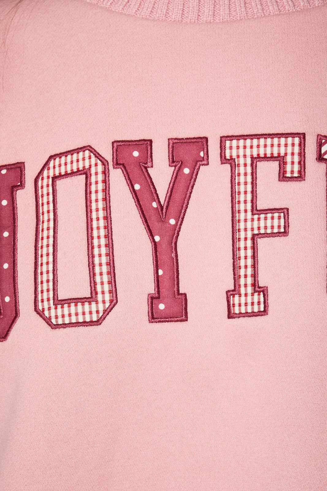 Joy Ride Embellished Cropped Sweatshirt in Light Pink — product photo 04