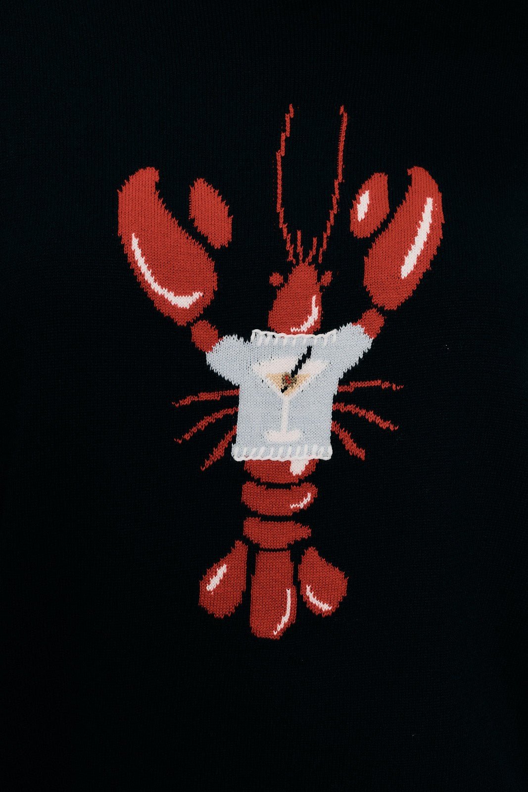 Lobster Social Short Sleeve Sweater - Westly