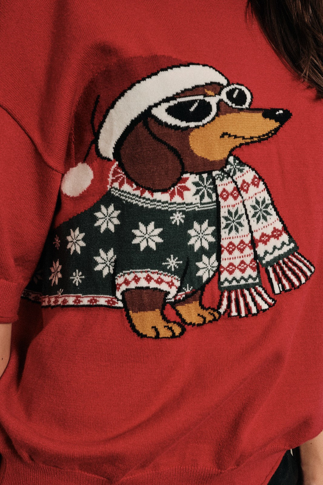Otto Dachshund Short Sleeve Sweater in Red, photo 5