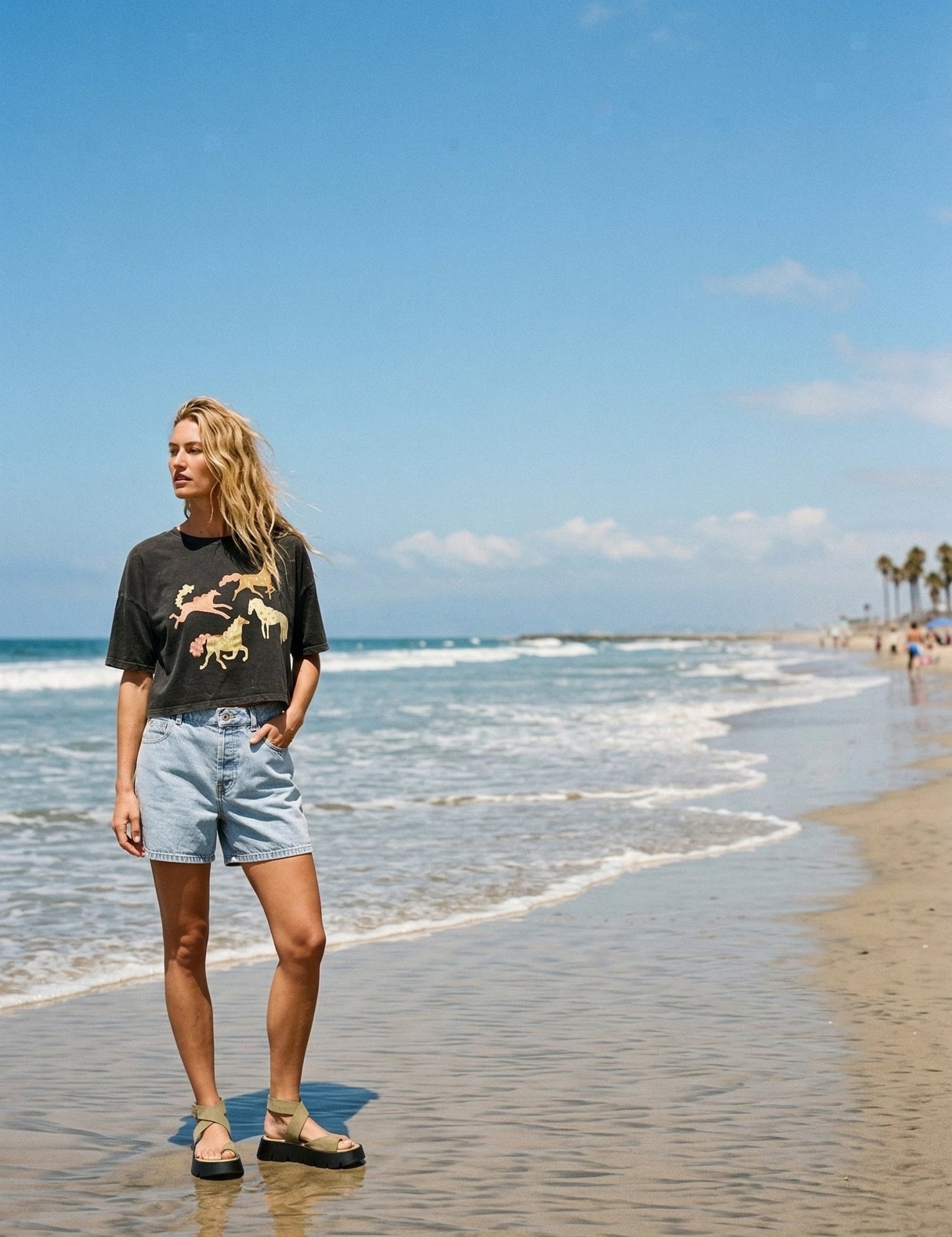 Painted Ponies Vintage - Wash Cropped Graphic Tee - Westly