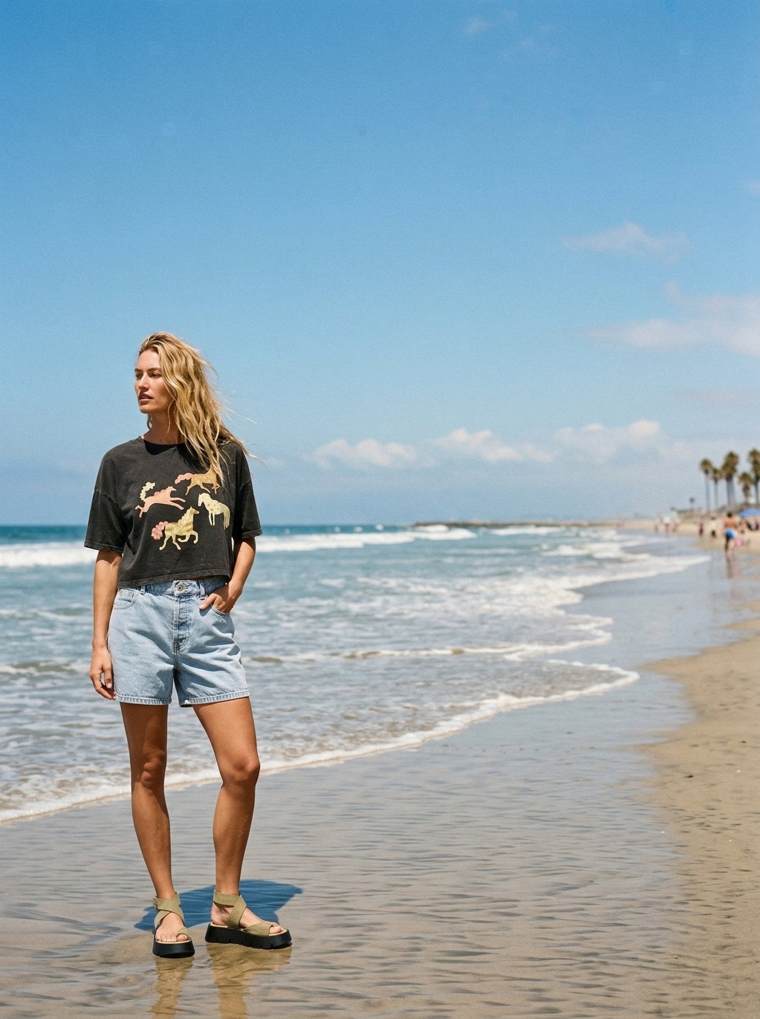 Painted Ponies Vintage - Wash Cropped Graphic Tee - Westly