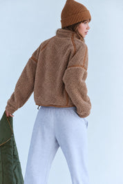 Parkside Sherpa Half-Zip Pullover - Taupe