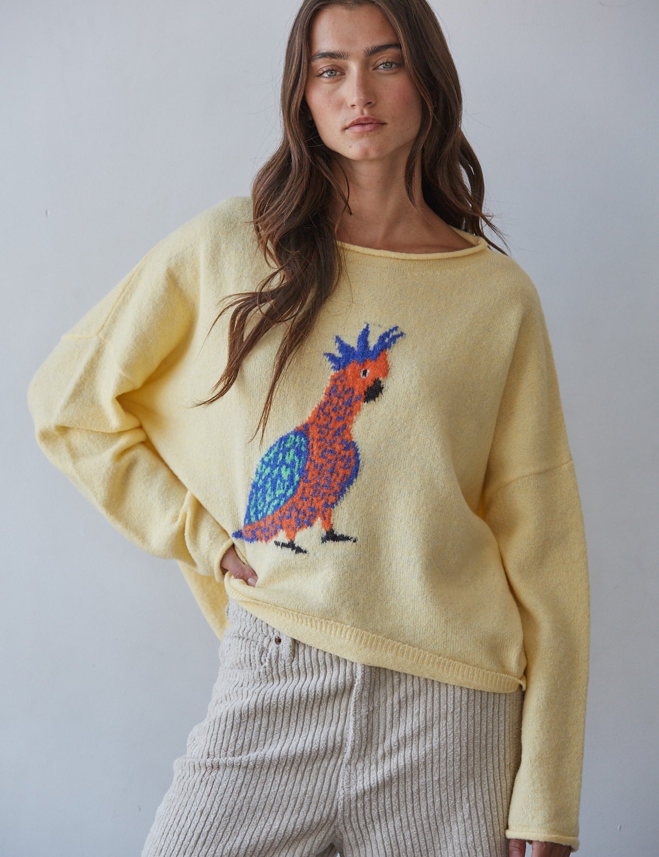 Plume Cockatoo Intarsia Sweater in Creamy Yellow - product photo 1