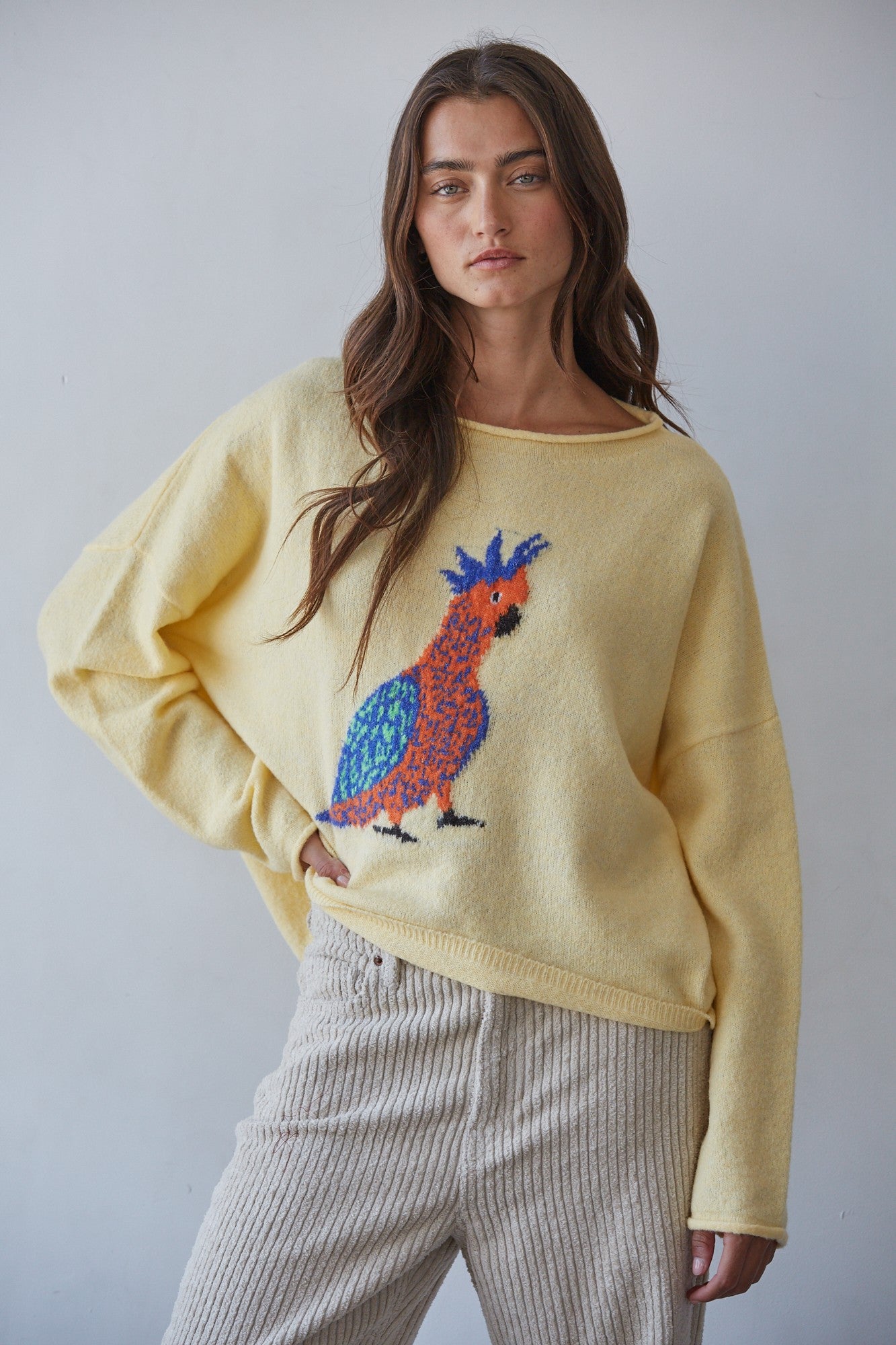 Plume Cockatoo Intarsia Sweater in Creamy Yellow - product photo 1