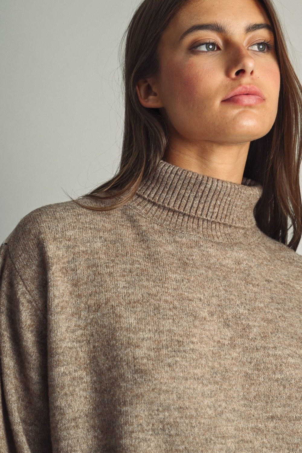 Reverse View Stripe Back Turtleneck in Warm Sand - product photo 5