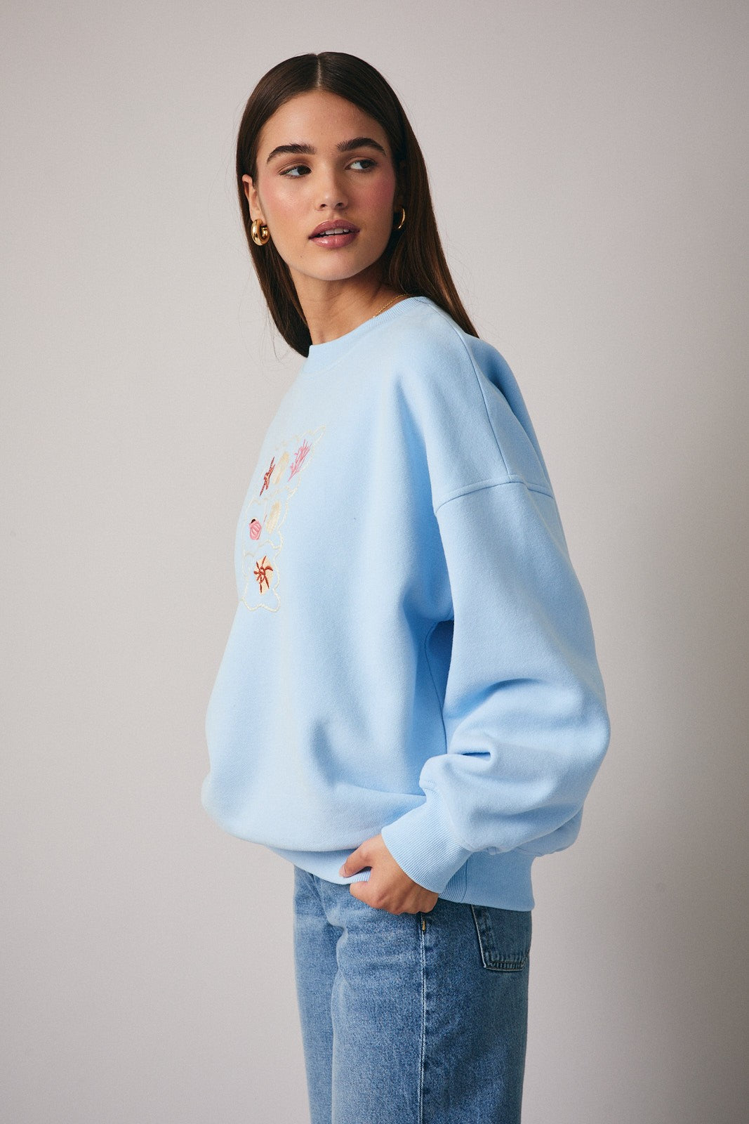 Shell Cabinet Embroidered Sweatshirt in Baby Blue - product photo 2