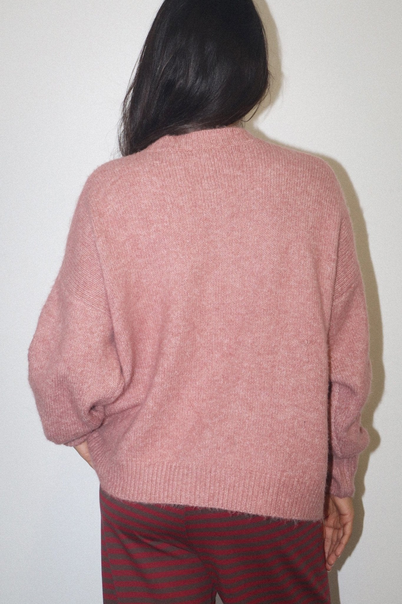 Sidekick Terrier Intarsia Sweater - Westly