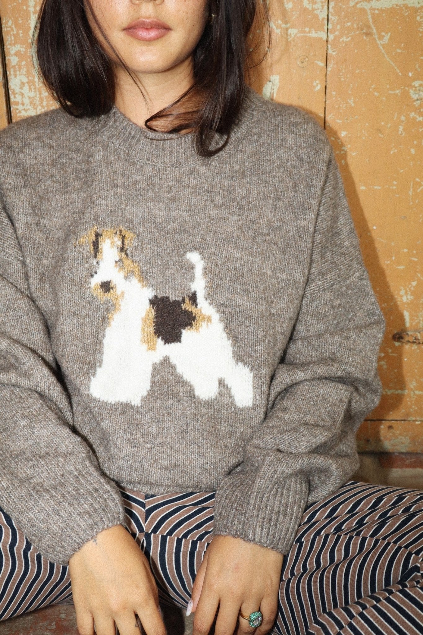 Sidekick Terrier Intarsia Sweater - Westly