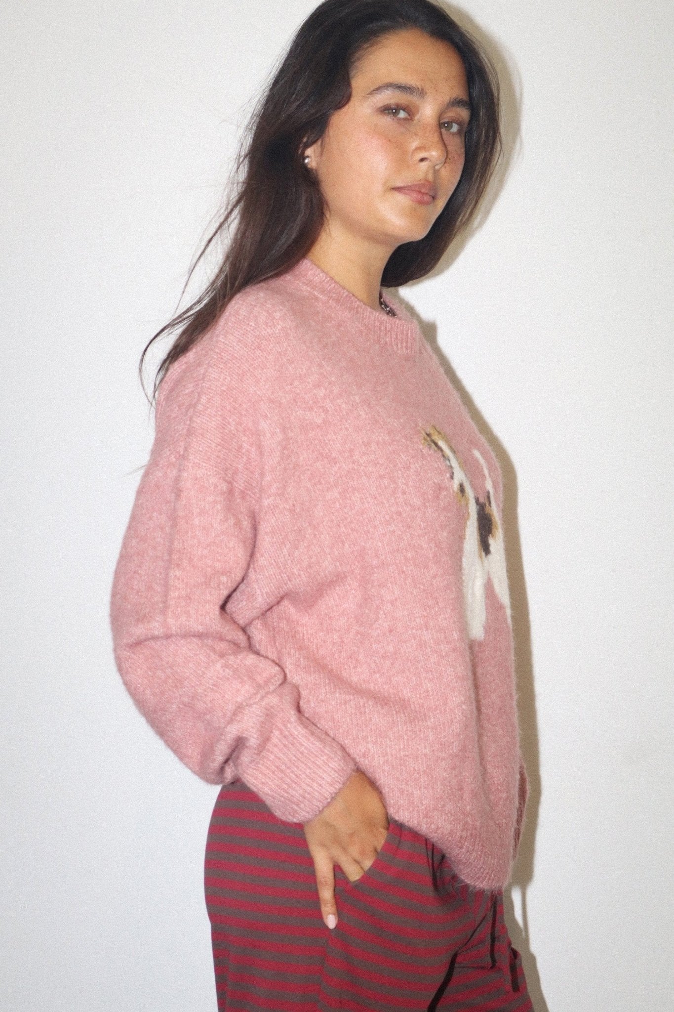 Sidekick Terrier Intarsia Sweater - Westly