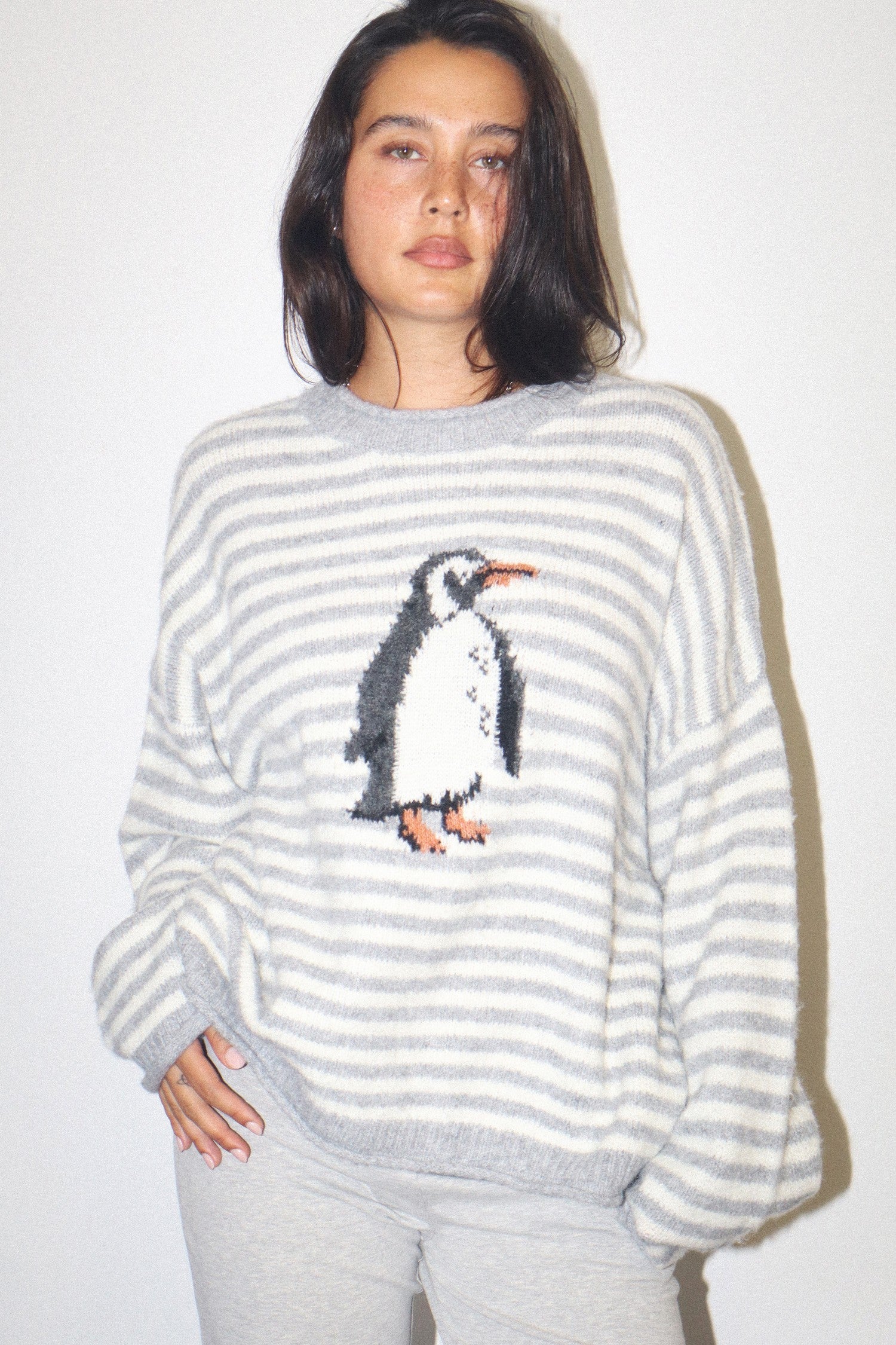 Snowbound Penguin Stripe Sweater - Grey Cream