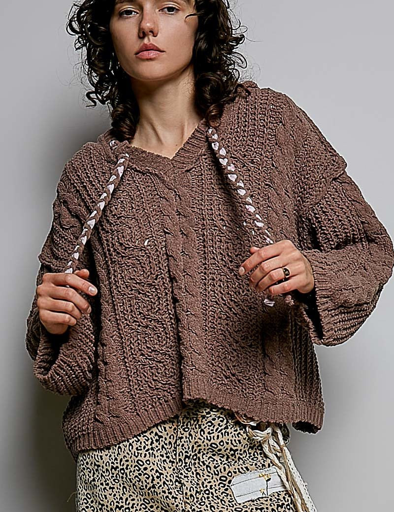 Soft Spot V-Neck Hooded Chenille Sweater - Westly