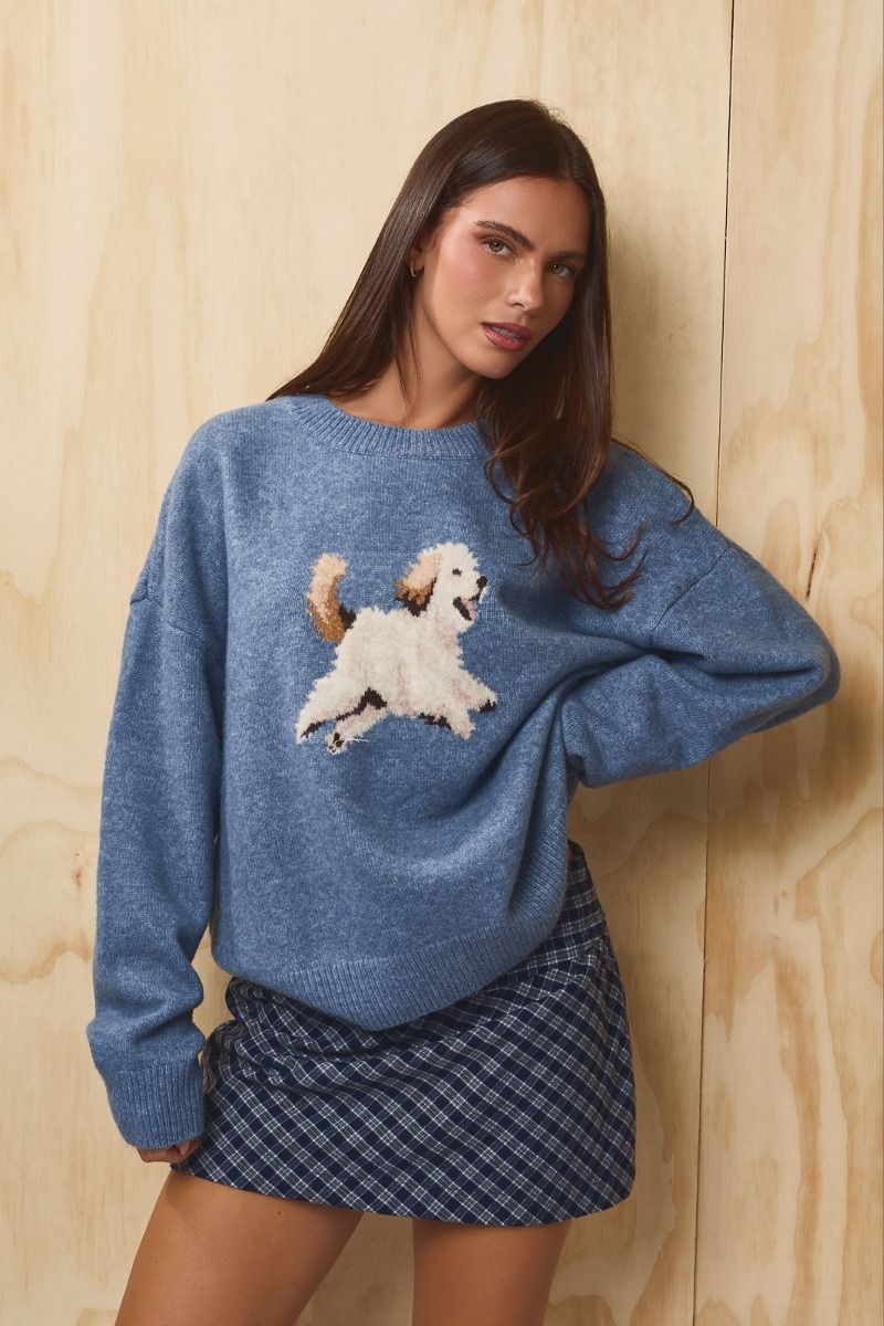 Sunday Walk Dog Graphic Sweater in Dusty Blue - product photo 5