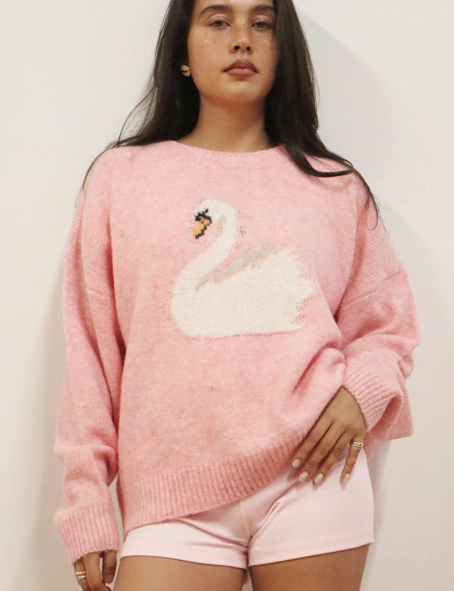 Swan Song Intarsia Sweater - Cherry Pink - view 1
