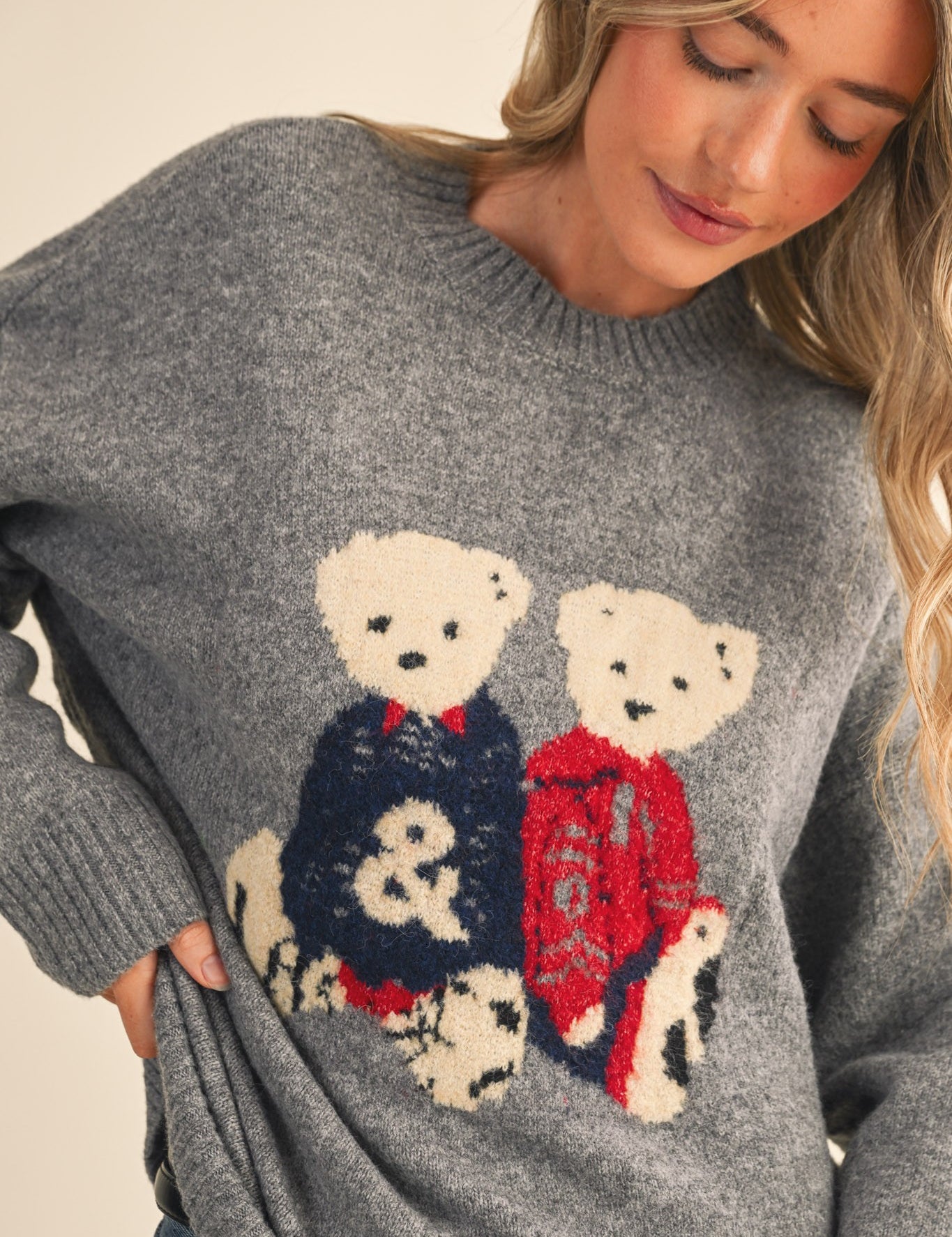 Teddy Companions Graphic Knit Sweater in Heather Grey - product photo 2