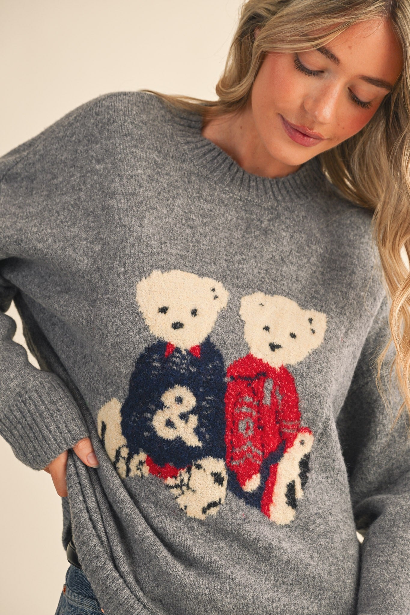 Teddy Companions Graphic Knit Sweater in Heather Grey - product photo 2