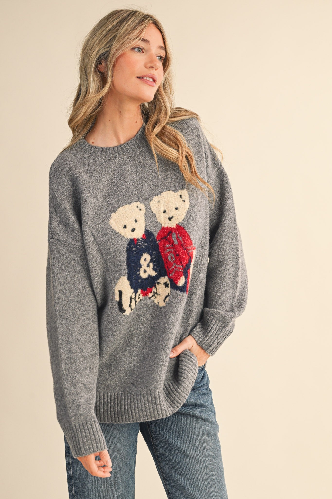 Teddy Companions Graphic Knit Sweater in Heather Grey - product photo 4