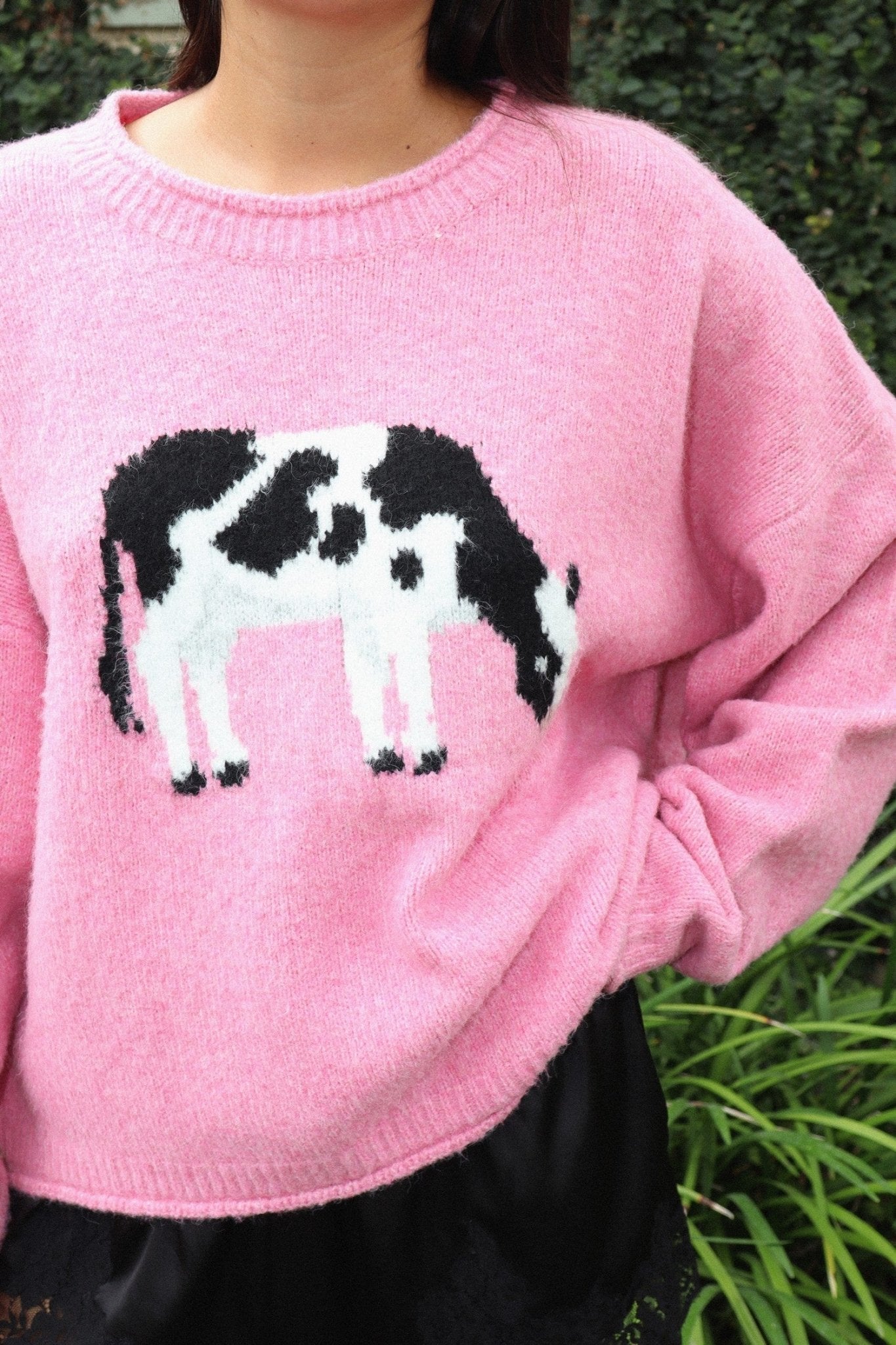 Tillie Cow Intarsia Sweater - Westly